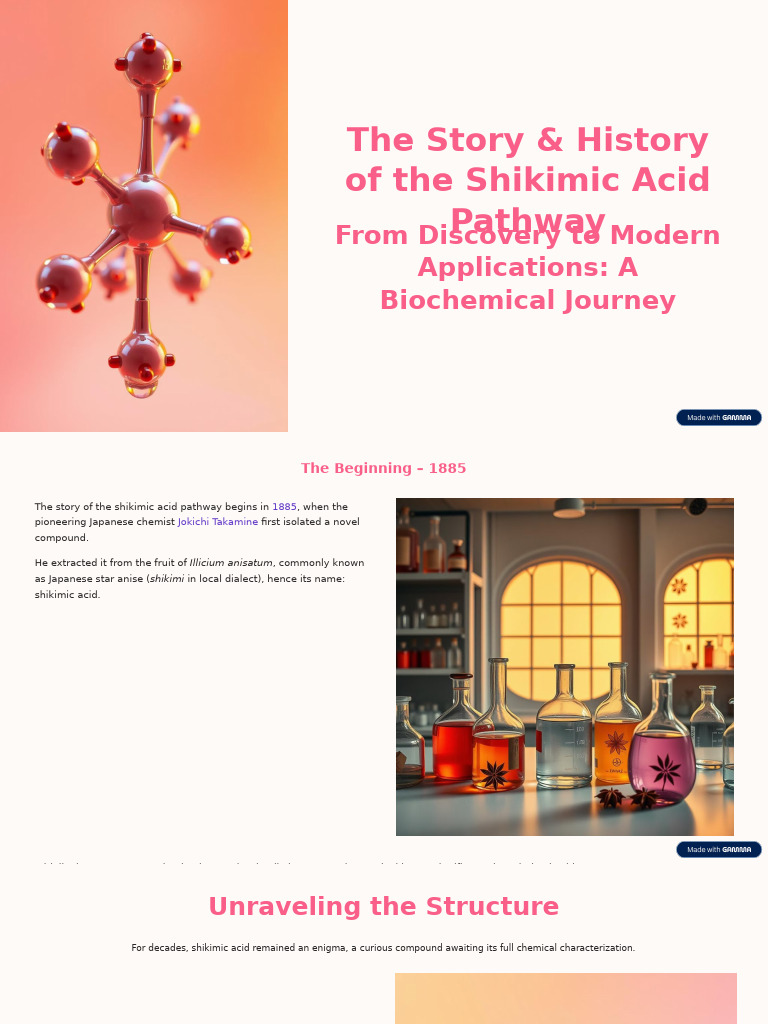 The Story and History of The Shikimic Acid Pathway | PDF | Metabolic ...