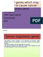 Tumour Suppressor Genes Oncogenes DNA Repair Genes Telomerase p53