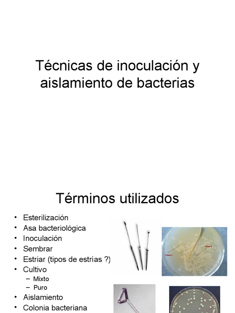 Tecnicas de Inoculacion | PDF