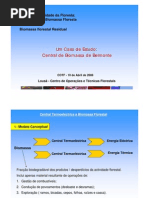 Um Caso de Estudo - Central de Biomassa de Belmonte