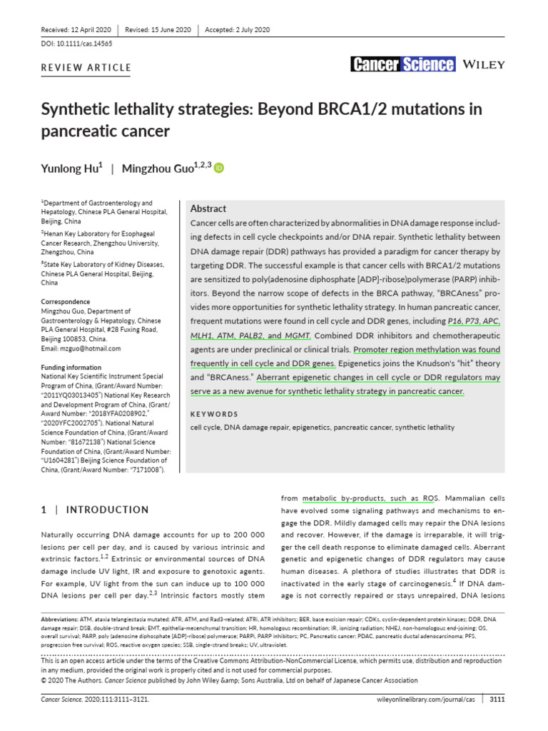 Synthetic Lethality in Pancreatic Cancer | PDF | Dna Repair | Cell Cycle