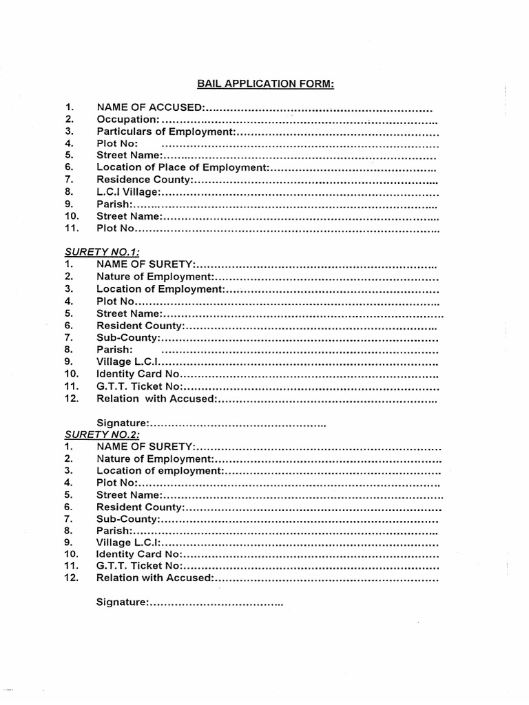 Bail Application Form 1 | PDF
