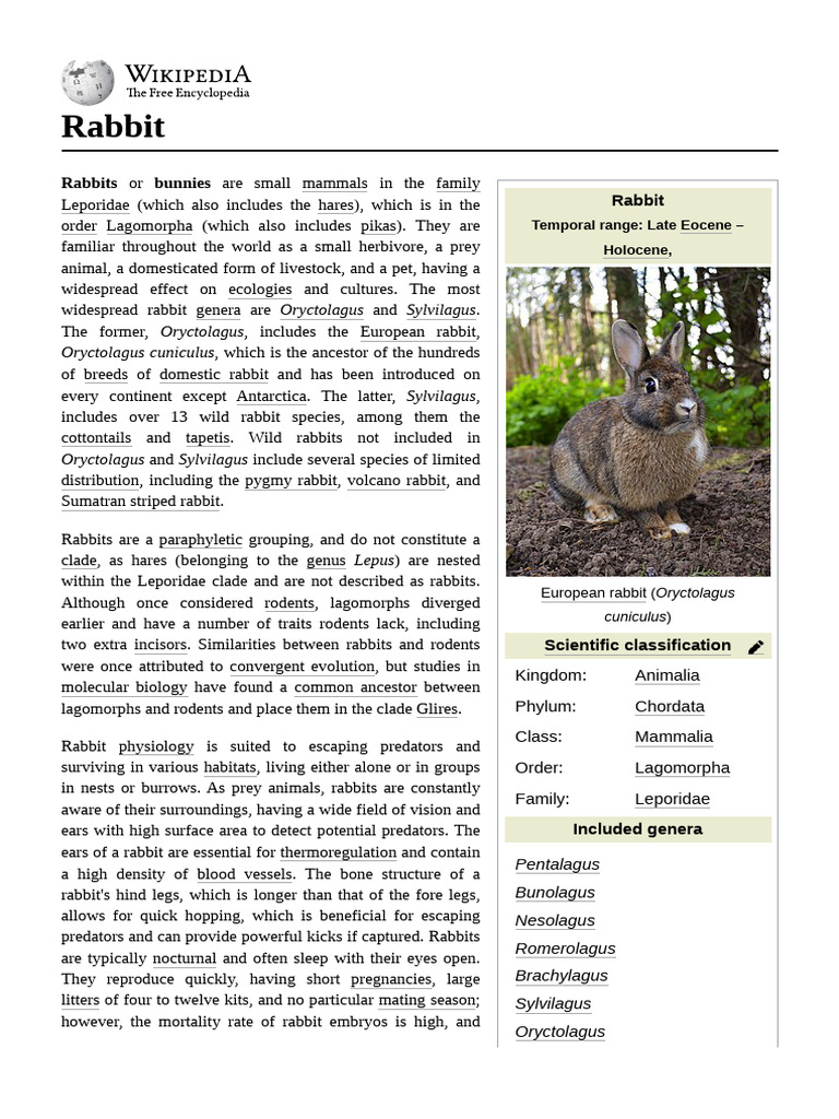 European Rabbit: Taxonomy and Facts | PDF | Rabbit | Lung