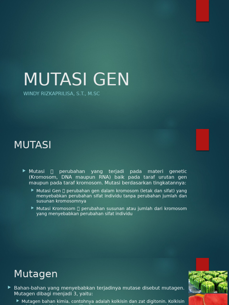 Pemahaman Mutasi Gen dan Kromosom | PDF