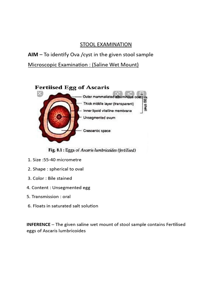 Stool Microscopy Findings and Inferences | PDF
