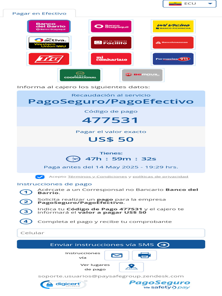Instrucciones de Pago Efectivo | PDF