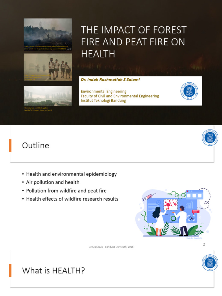 Impact of Forest Fire On Health-IRS-2025 | PDF | Particulates ...