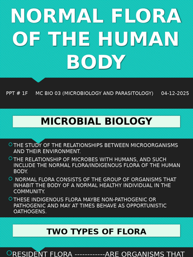 Normal Flora of the Human Body | PDF | Skin | Gastrointestinal Tract