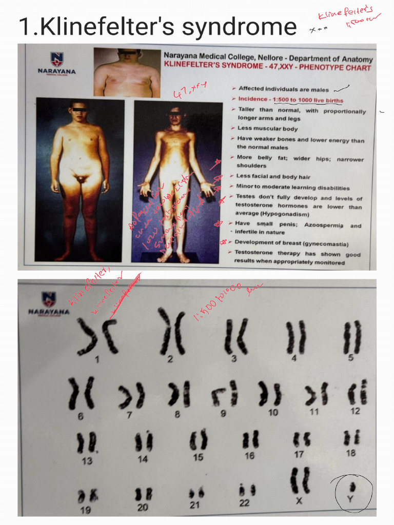 Genetic Charts - 250319 - 020639 | PDF