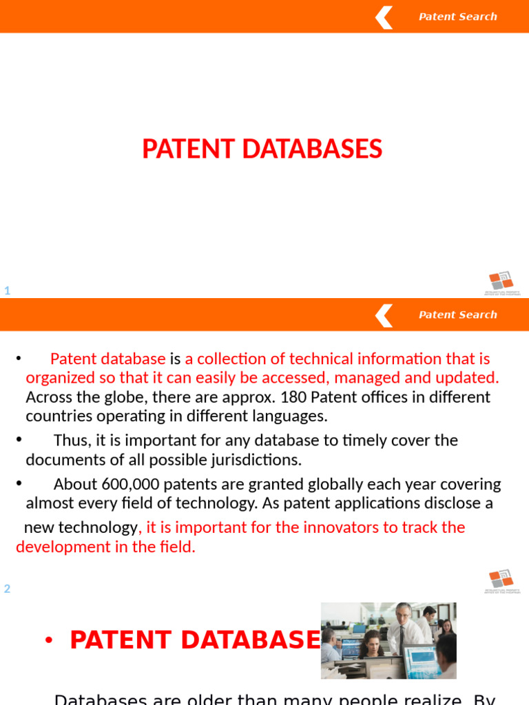 Comprehensive Guide to Patent Databases | PDF | United States Patent ...