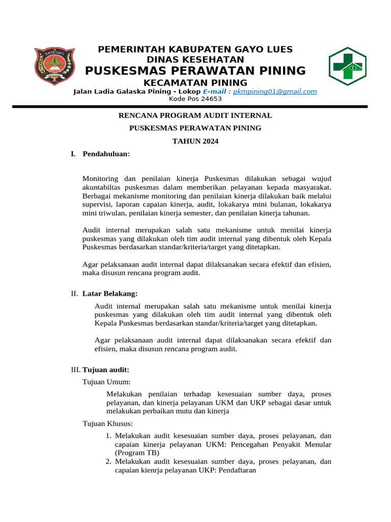 1532 Rencana Program Audit Internal | PDF