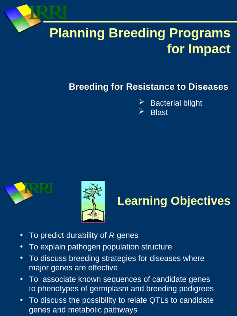 Breeding Programs for Disease Resistance | PDF | Plant Breeding | Bacteria