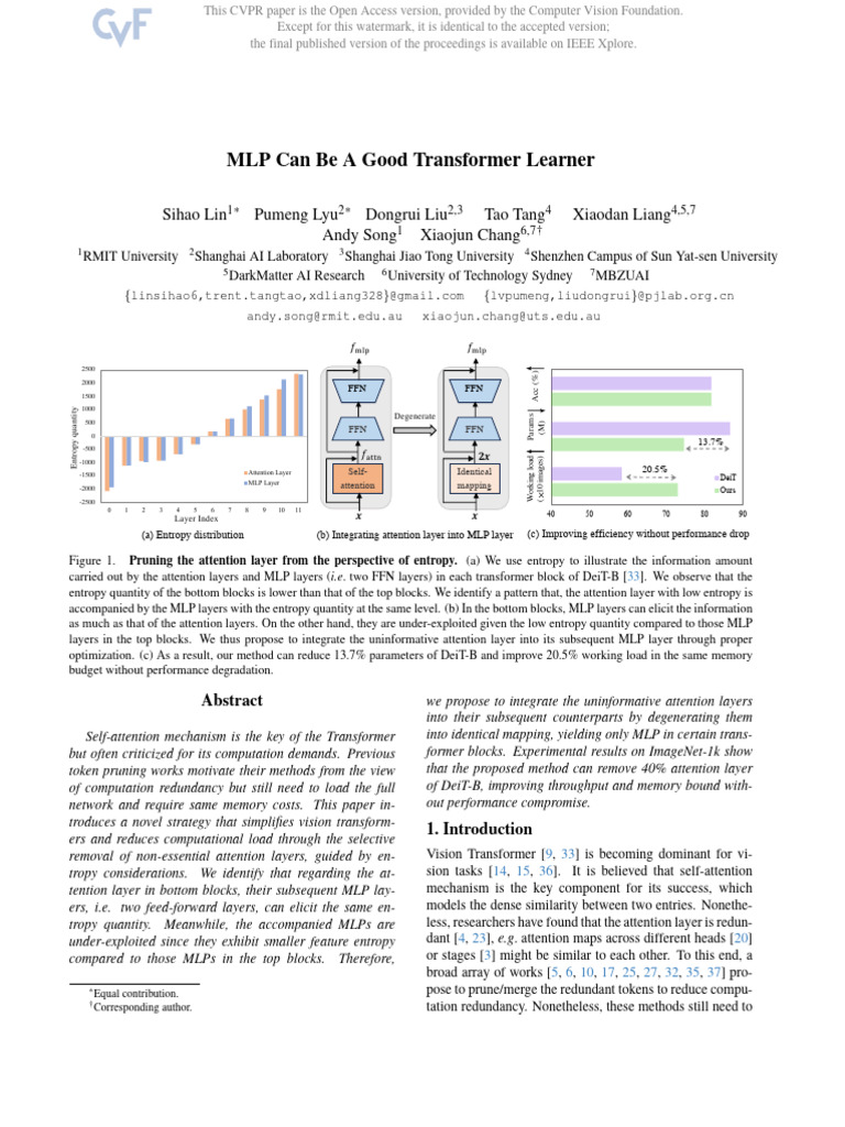 Optimizing MLP in Vision Transformers | PDF | Applied Mathematics