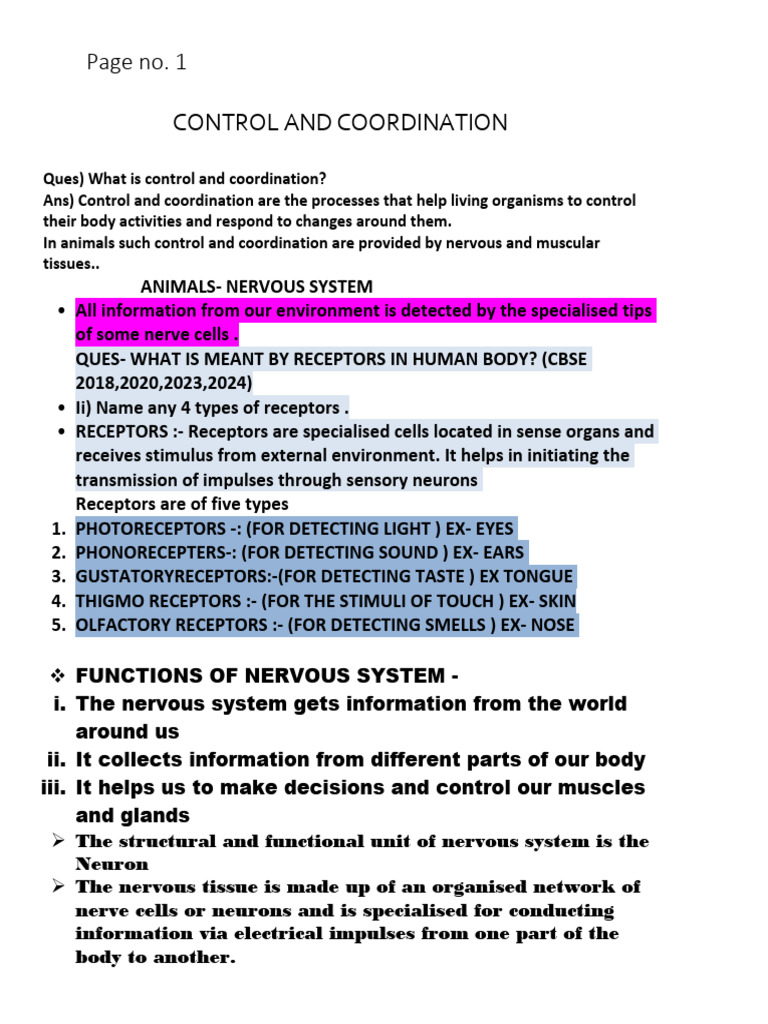 Control and Coordination Notes | PDF | Neuron | Hormone
