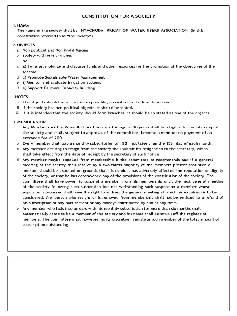 Constitution For A Society | PDF | Constitutional Amendment | Committee