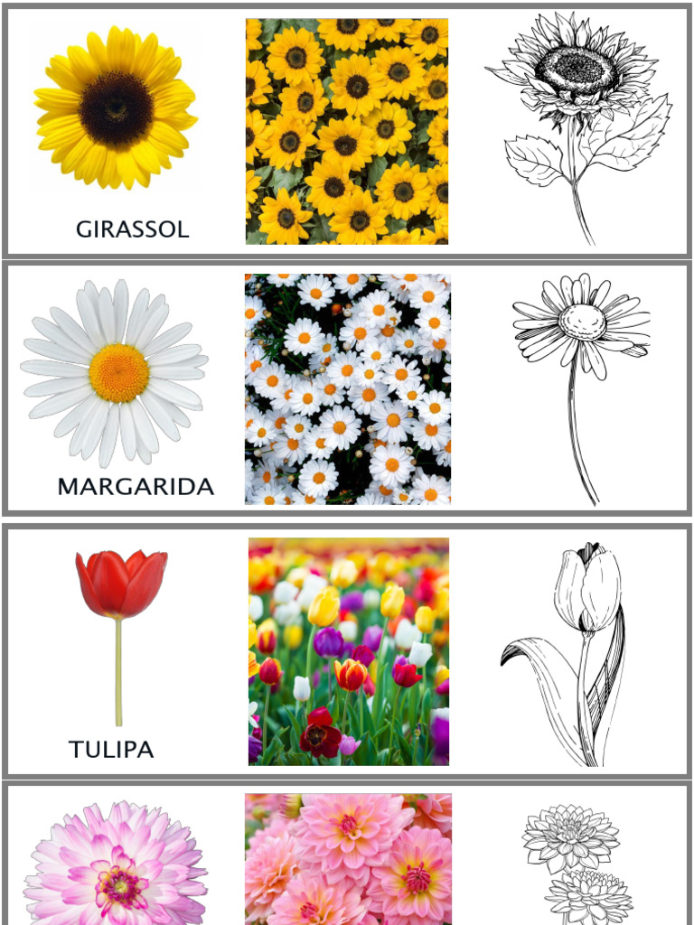 Flores Comuns e Seus Nomes | PDF