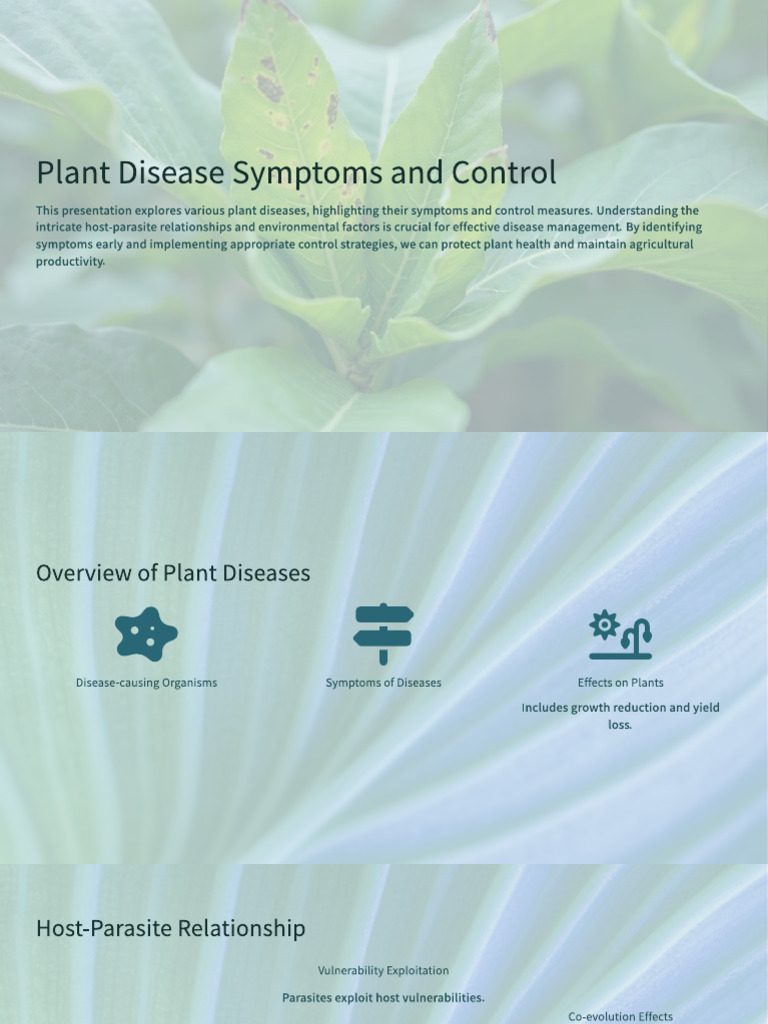 Plant Disease Symptoms and Co... | PDF | Agriculture | Pest (Organism)