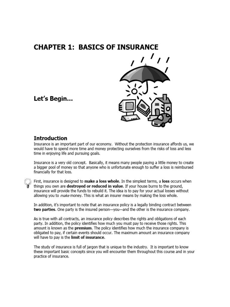 Basics of Insurance Explained | PDF | Insurance | Damages