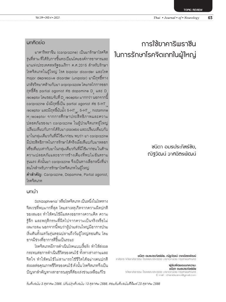 08 Topic Chanida | PDF