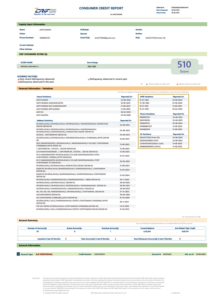 Anithamma's Consumer Credit Report | PDF | Credit History | Payments