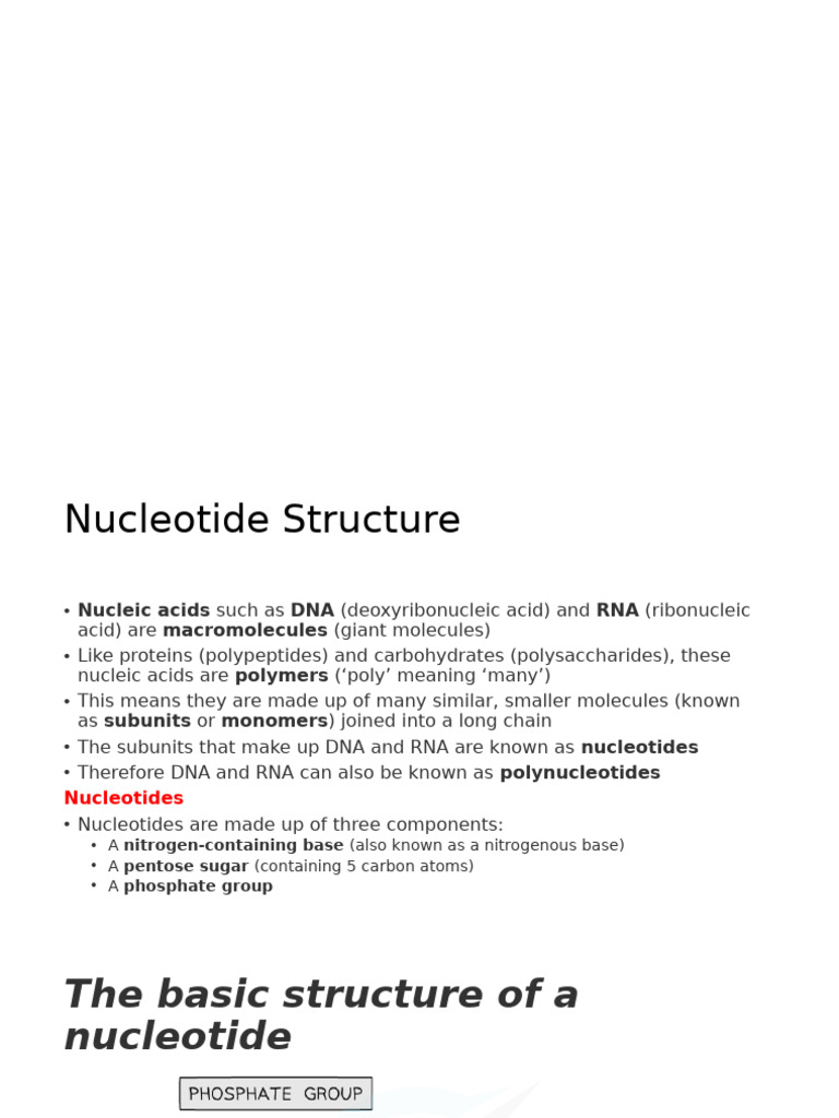 DNA and RNA Structure Overview | PDF | Translation (Biology) | Nucleotides