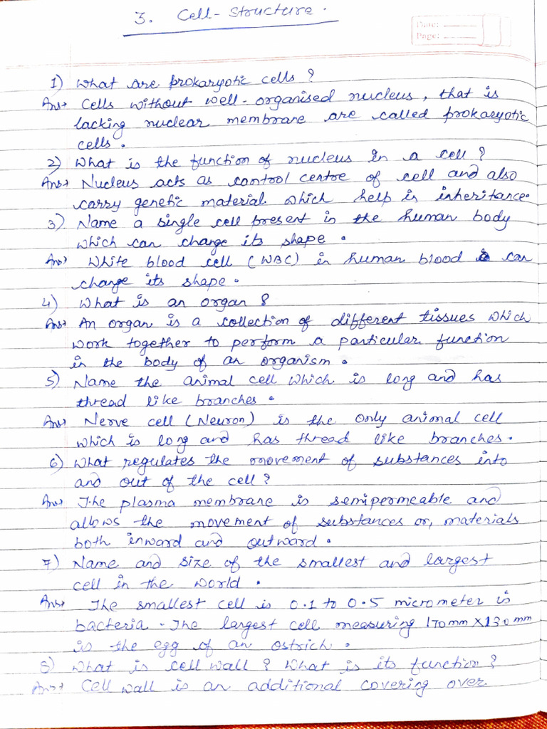 Chapter 3 Cell Structure and Function | PDF | Zoology | Histology