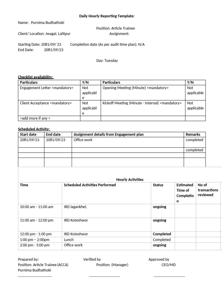 Daily Hours Reporting123 | PDF