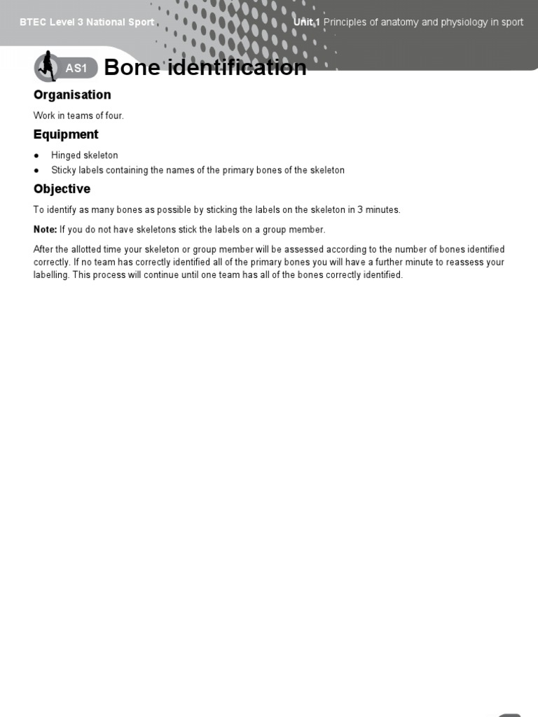 Bone Identification: Organisation Equipment | PDF | Wellness