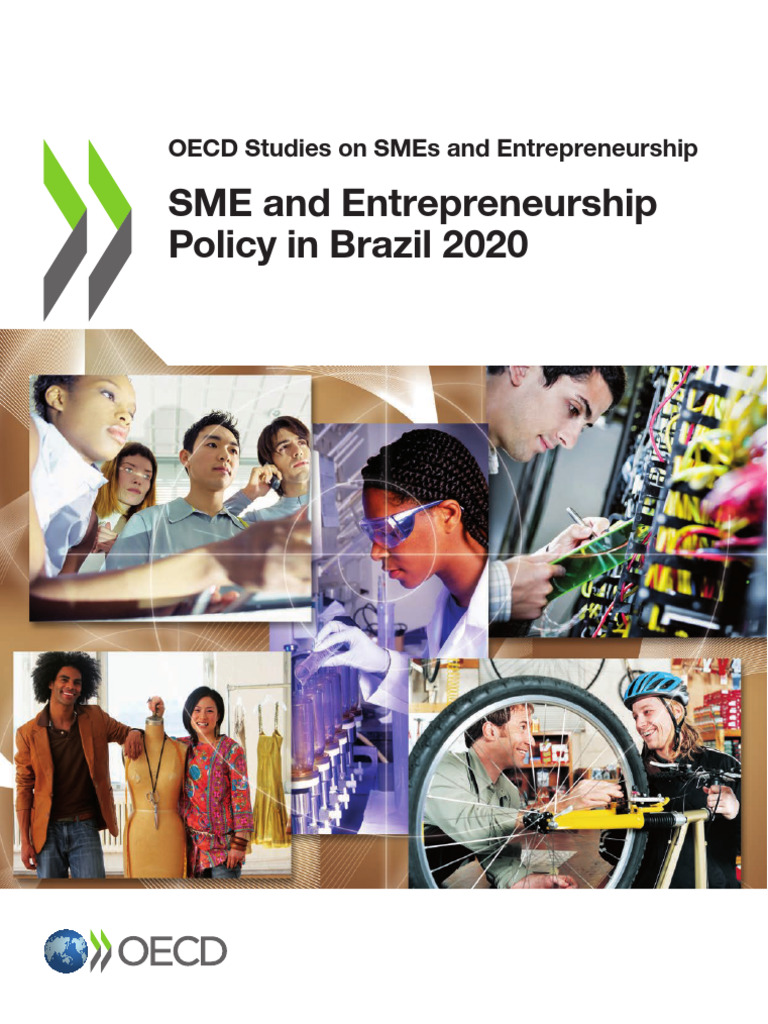 Brazil SME and Entrepreneurship Policy 2020 | PDF | Gross Domestic ...