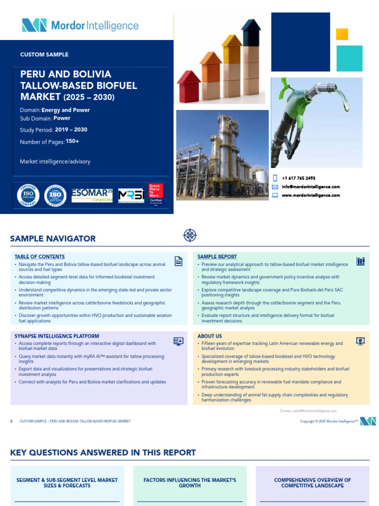 Peru & Bolivia Tallow Biofuel Market Insights | PDF | Biofuel | Biodiesel