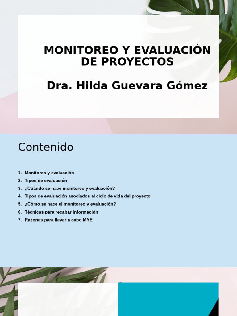 Monitoreo y Evaluación de Proyectos | PDF | Evaluación | Monitoreo y ...