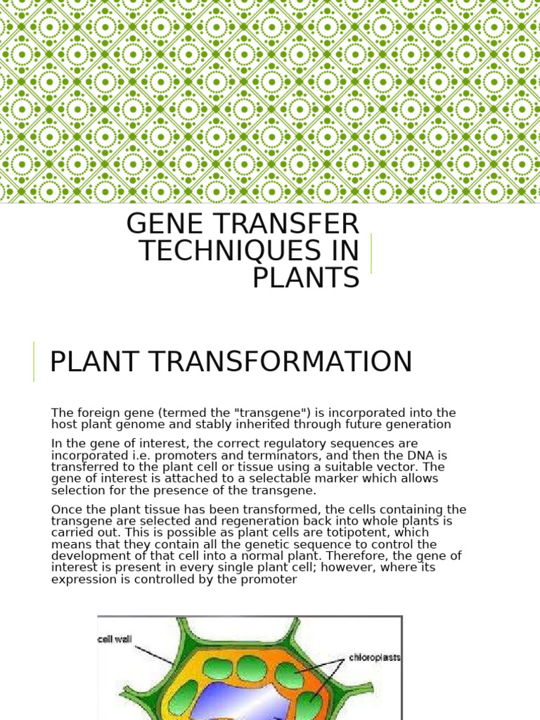 Physical Gene Transfer in Plants | PDF | Transfection | Life Sciences