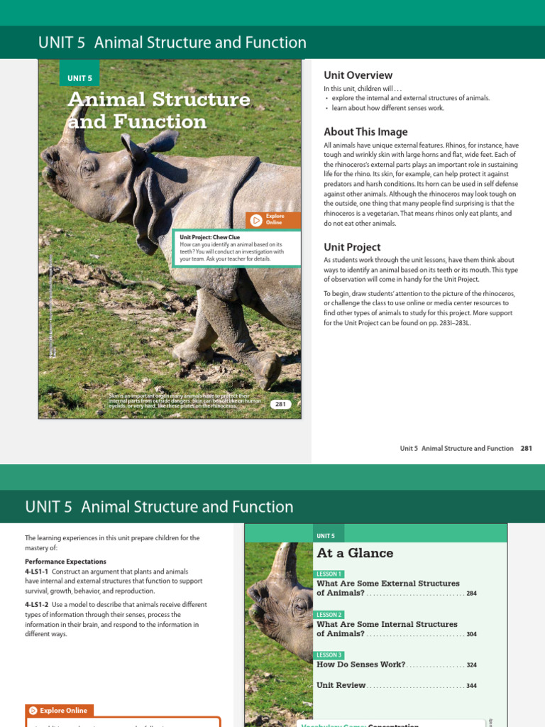 Understanding Animal Structures | PDF | Rhinoceros | Information