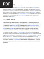 Vizerul: Indicaciones y Dosis Pediátrica | PDF | Especialidades Medicas ...
