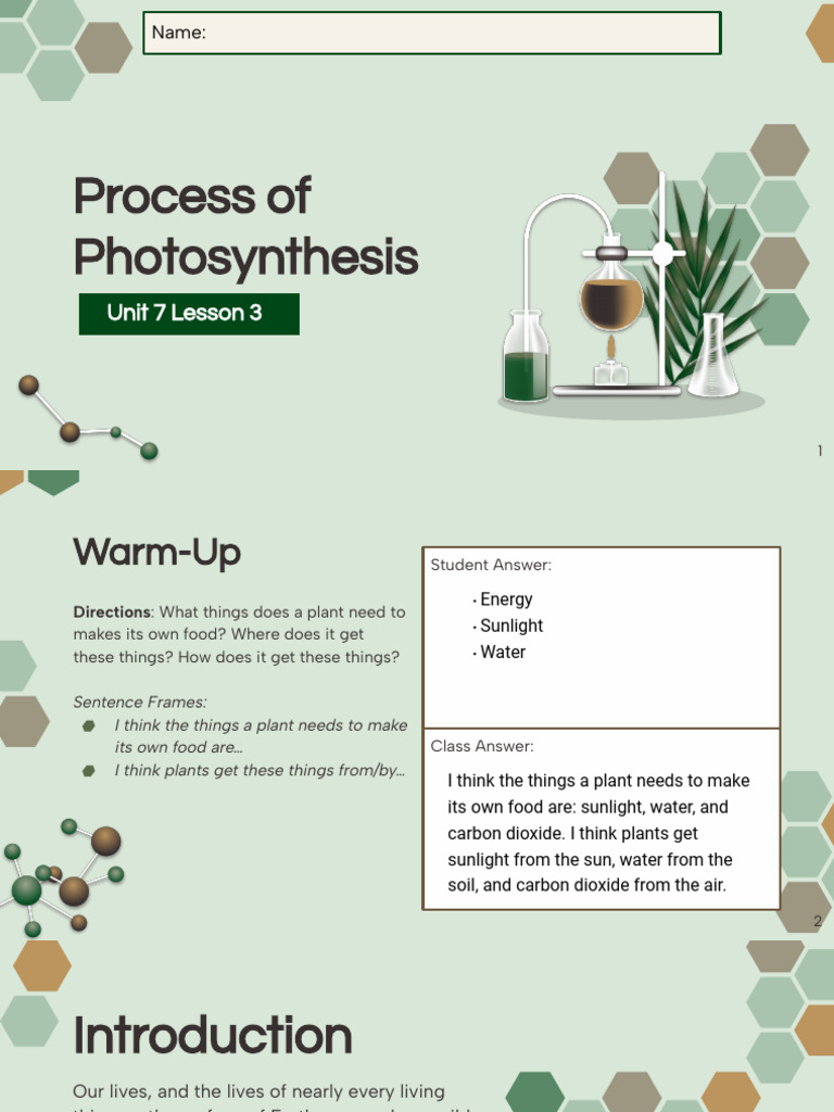 Photosynthesis Process Explained | PDF | Chloroplast | Photosynthesis