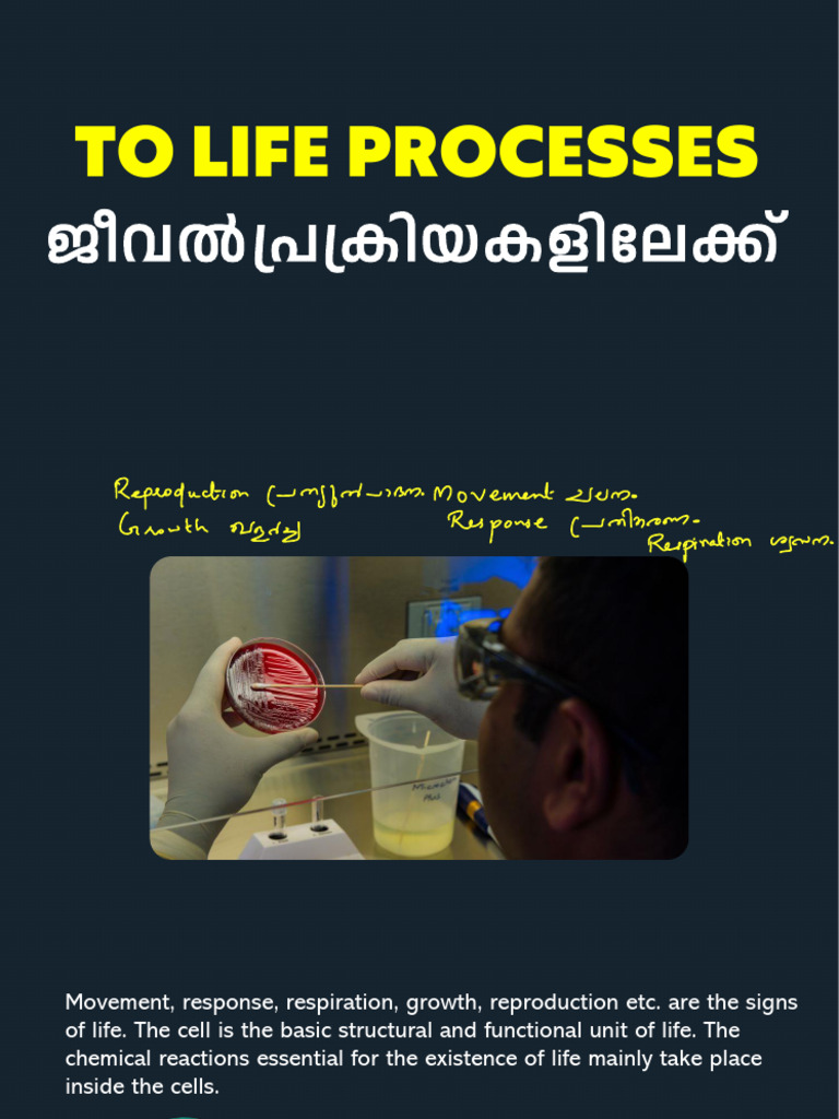To Life Processes Utube Live1 | PDF