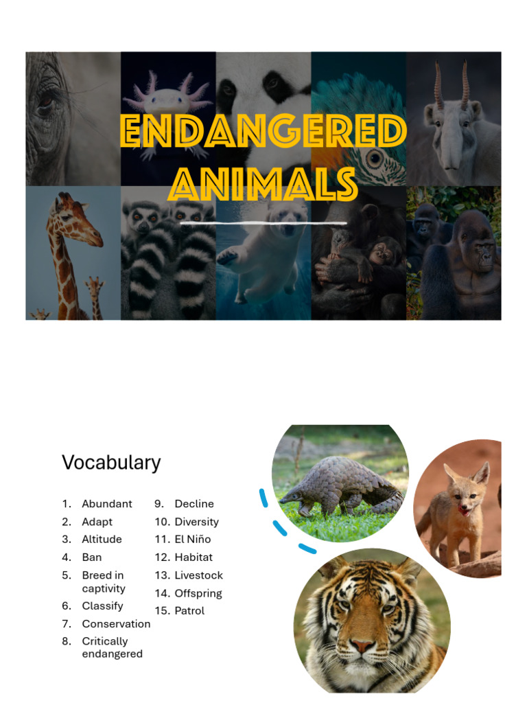 Endangered Species and Their Threats | PDF