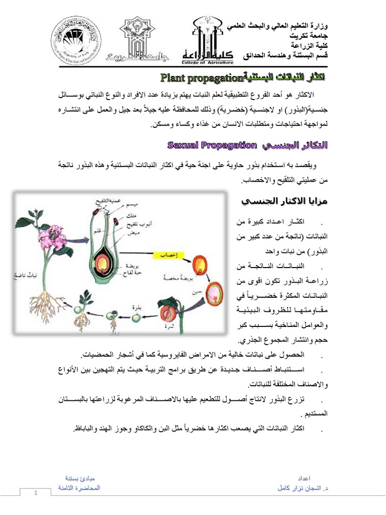STNT 8 | PDF