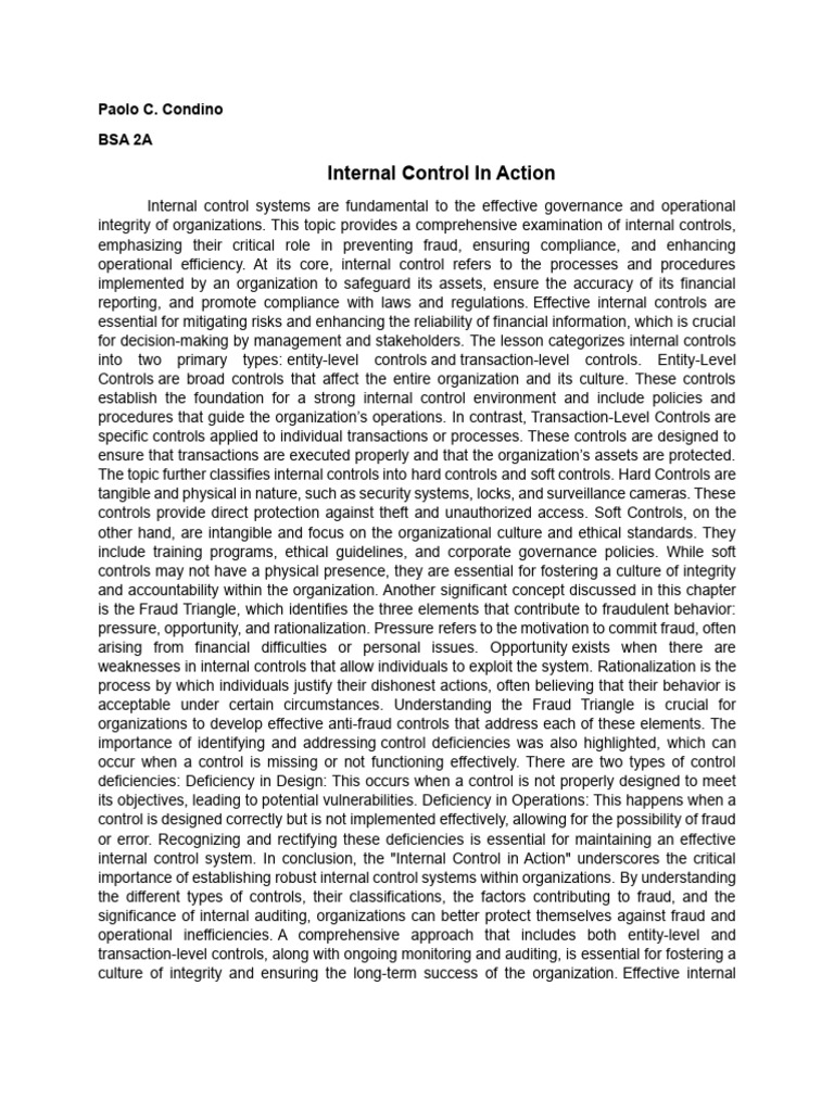 Internal Control Systems Explained | PDF | Internal Control | Business