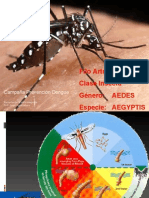 Dengue Clase Curso 09