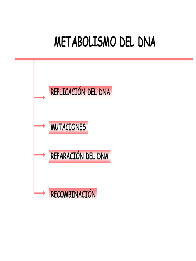 Replicación y Mecanismos del DNA | PDF | Replicación De Adn | Adn