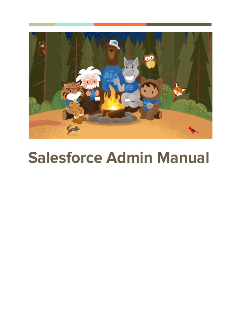 Salesforce Admin Permissions Guide | PDF | Database Index | Databases