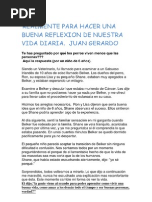 Realmente Para Hacer Una Buena Reflexion De Nuestra Vida Diaria Pdf Ocio