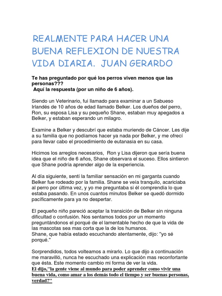 Realmente Para Hacer Una Buena Reflexion De Nuestra Vida Diaria Pdf Ocio