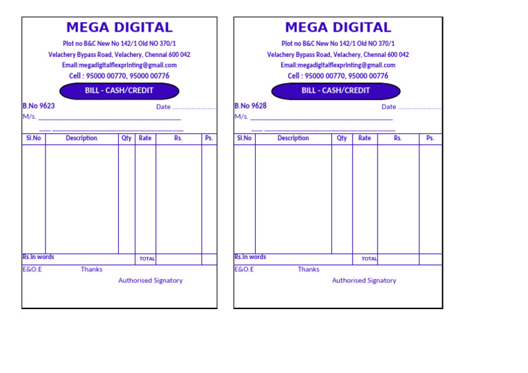 Mega Digital Billing Information | PDF