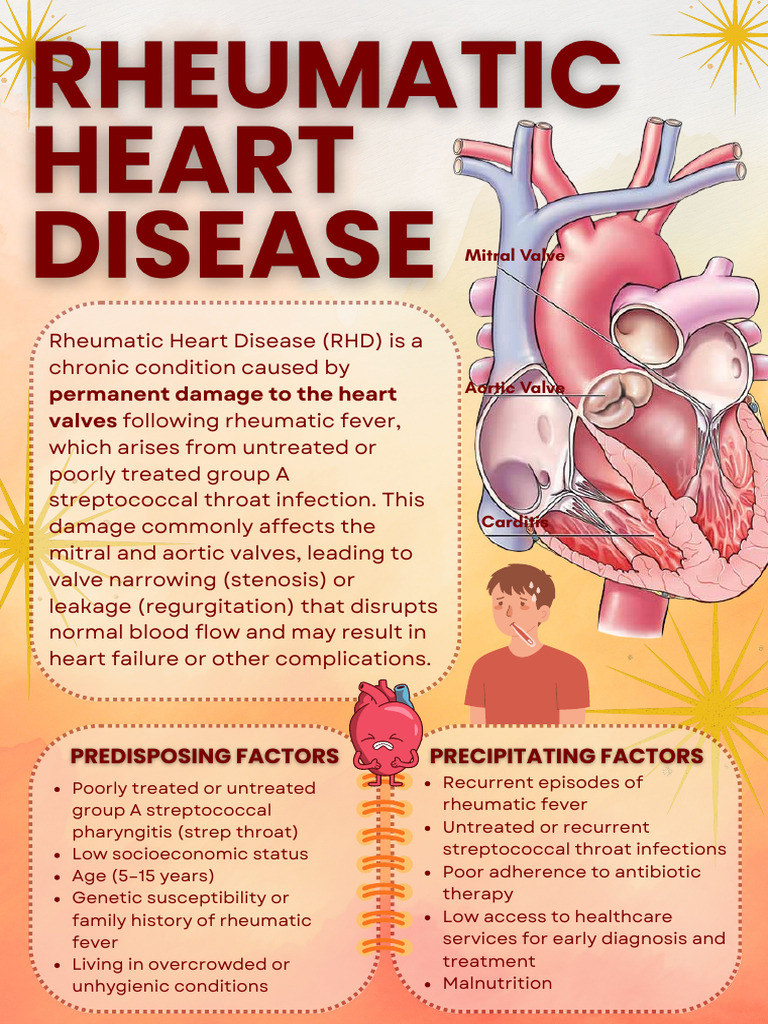 Understanding Rheumatic Heart Disease | PDF | Heart | Heart Failure
