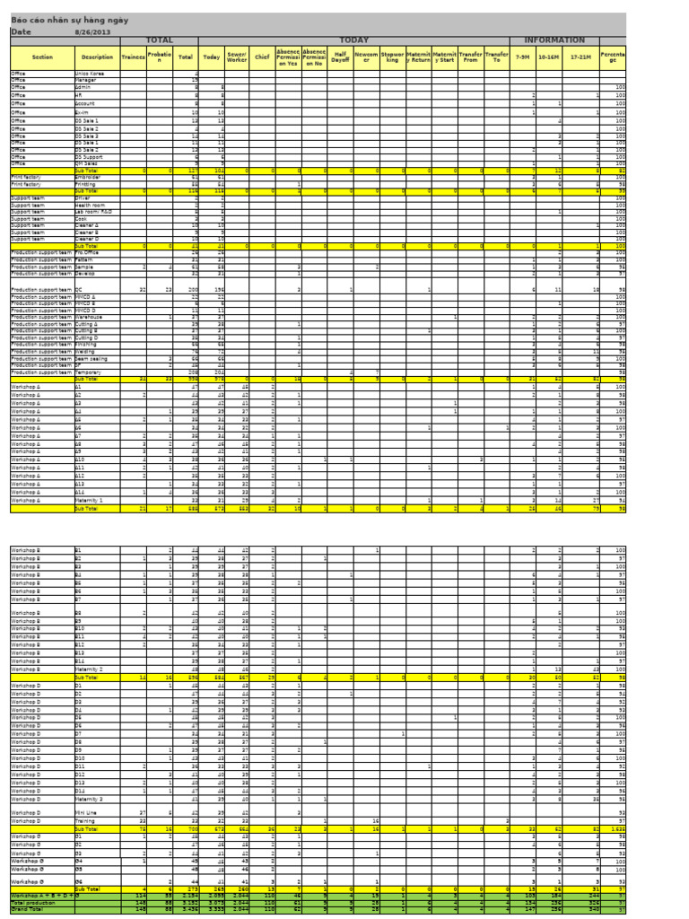 Daily Human Resource Report | PDF