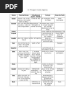 6576801 Os Principais Deuses Egipcios