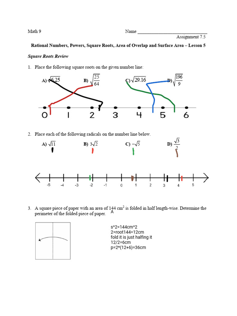 Rational Numbers and Square Roots Assignment | PDF | Area | Elementary ...