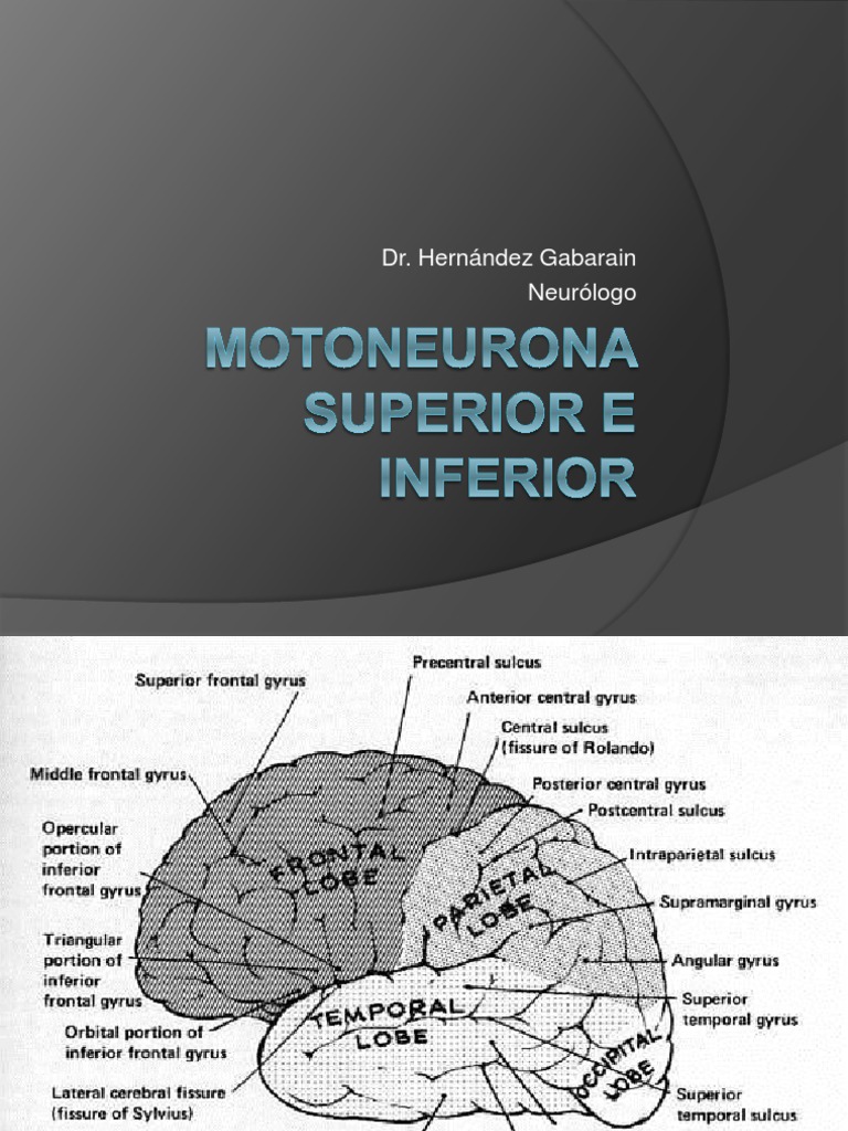 37.Motoneurona Superior e Inferior